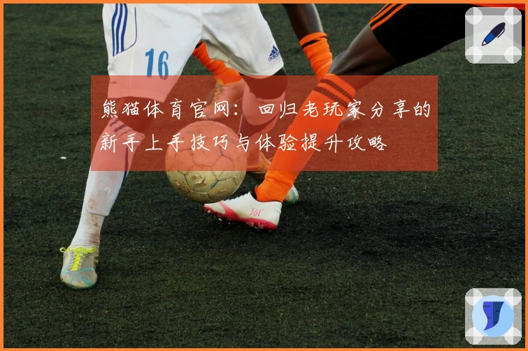 熊猫体育官网：回归老玩家分享的新手上手技巧与体验提升攻略