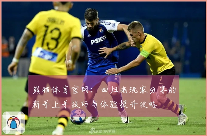 熊猫体育官网：回归老玩家分享的新手上手技巧与体验提升攻略